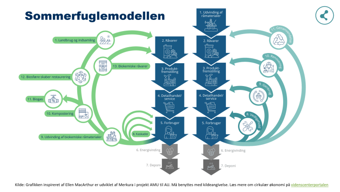 Sommerfuflemodellen
